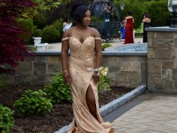 dsc_0254