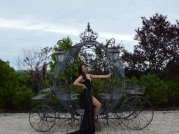 dsc_0229